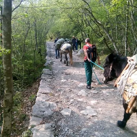 Nevenka * Starigrad Paklenica